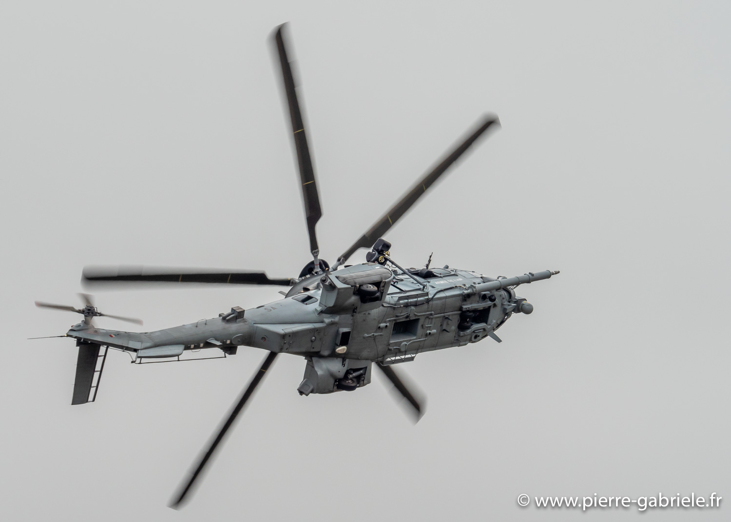 caracal-g91_6283.jpg