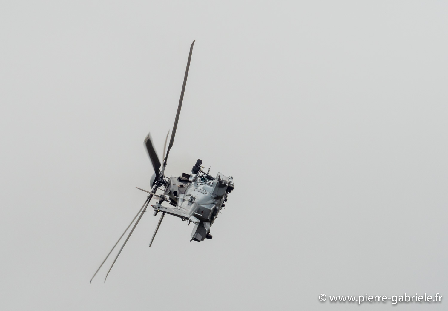 caracal-g91_6284.jpg