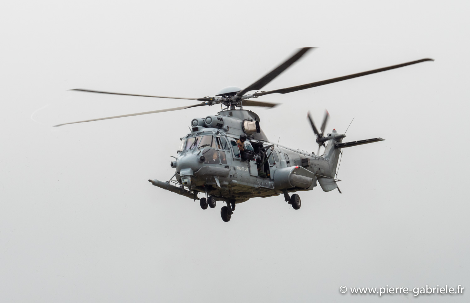 caracal-g91_6286.jpg
