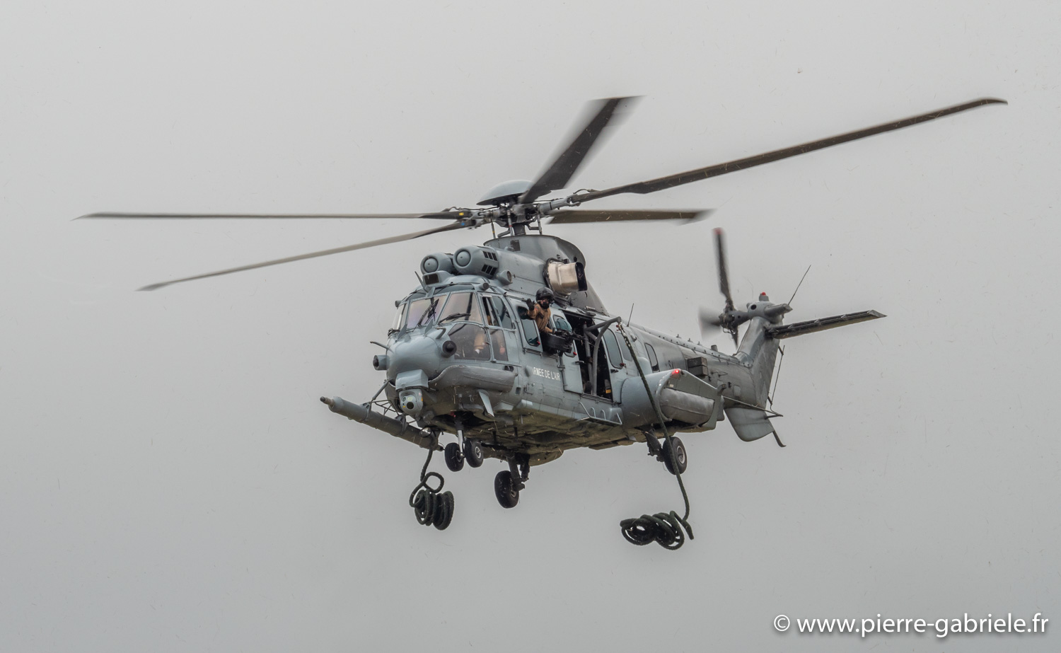 caracal-g91_6287.jpg