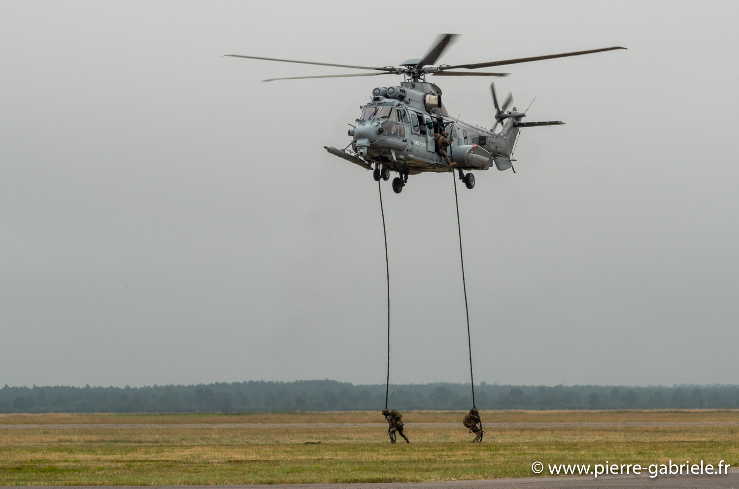 caracal-g91_6290.jpg