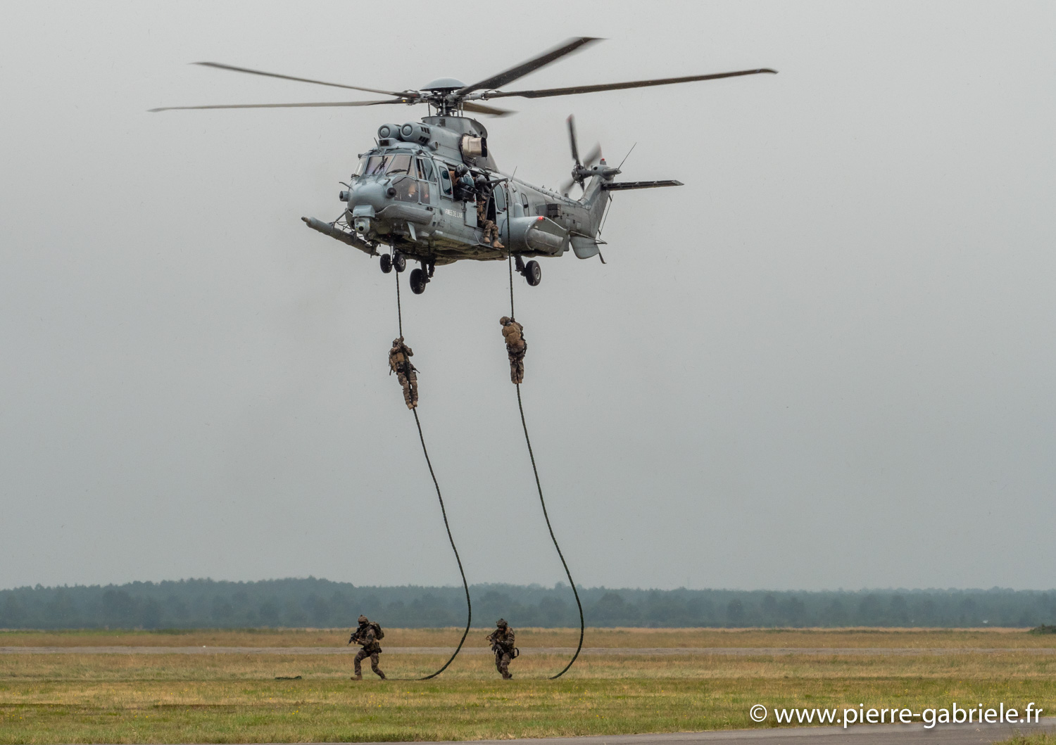 caracal-g91_6291.jpg