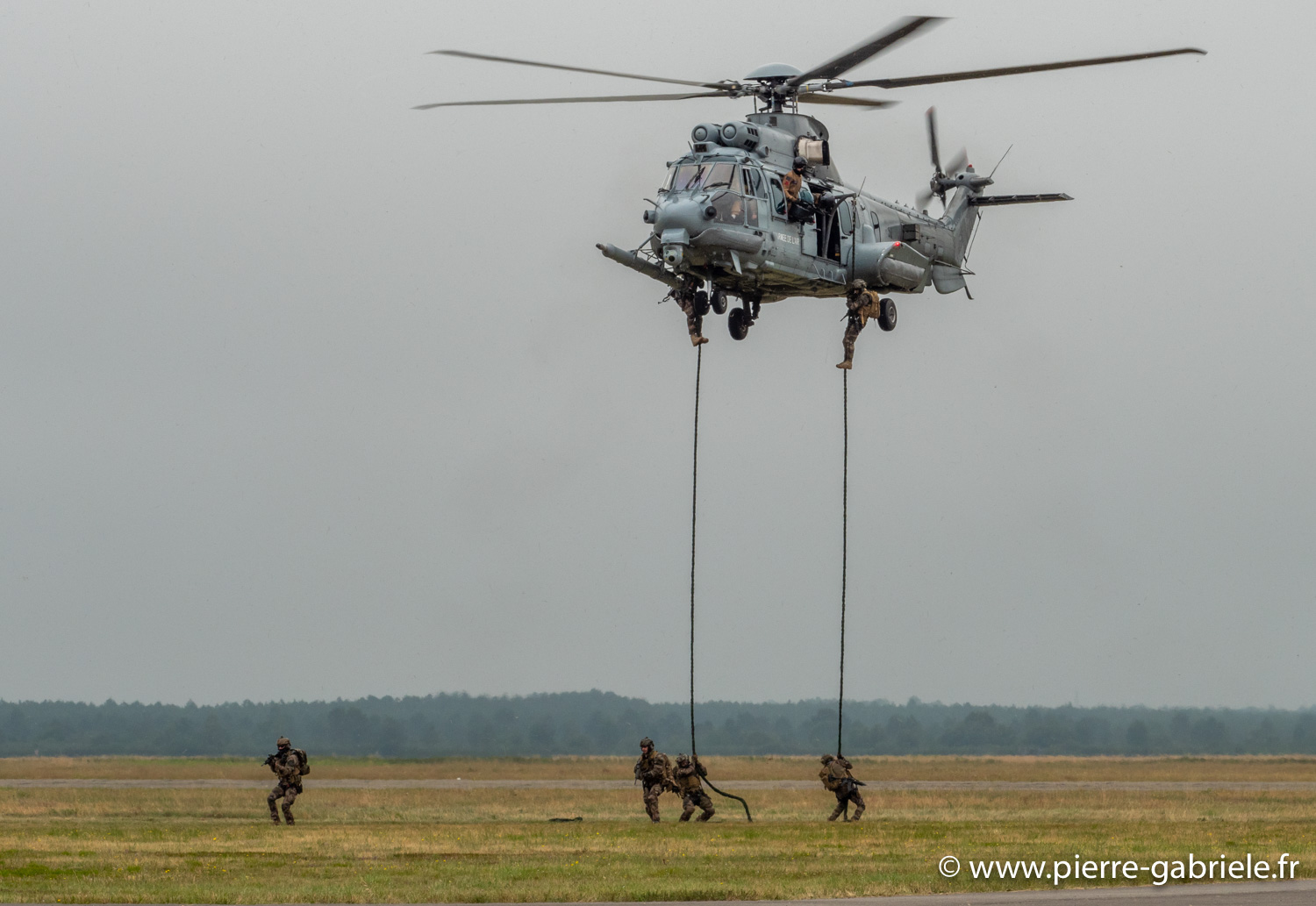 caracal-g91_6293.jpg