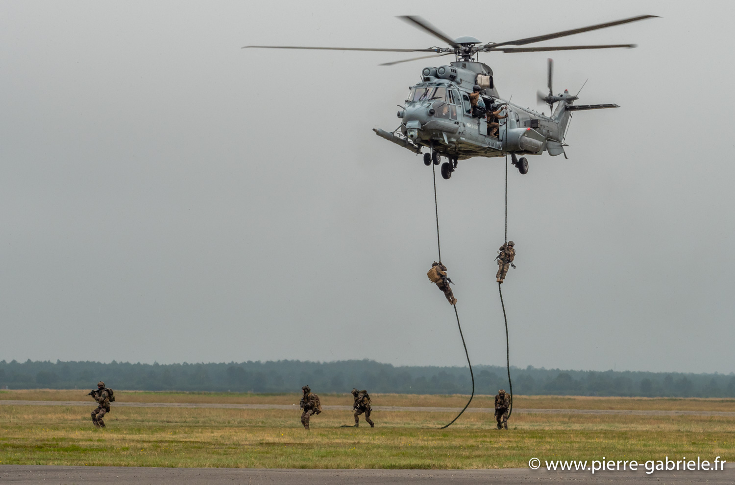 caracal-g91_6294.jpg