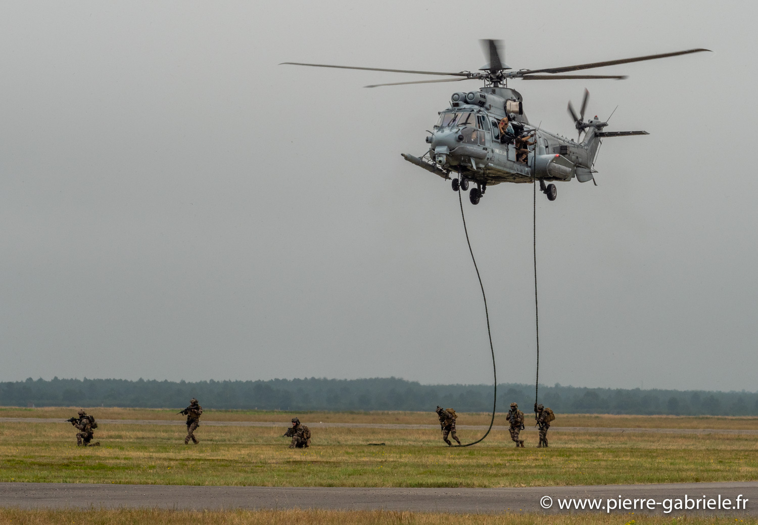 caracal-g91_6296.jpg