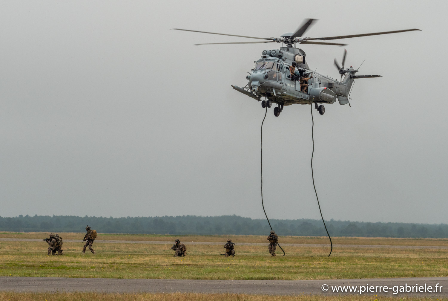 caracal-g91_6297.jpg