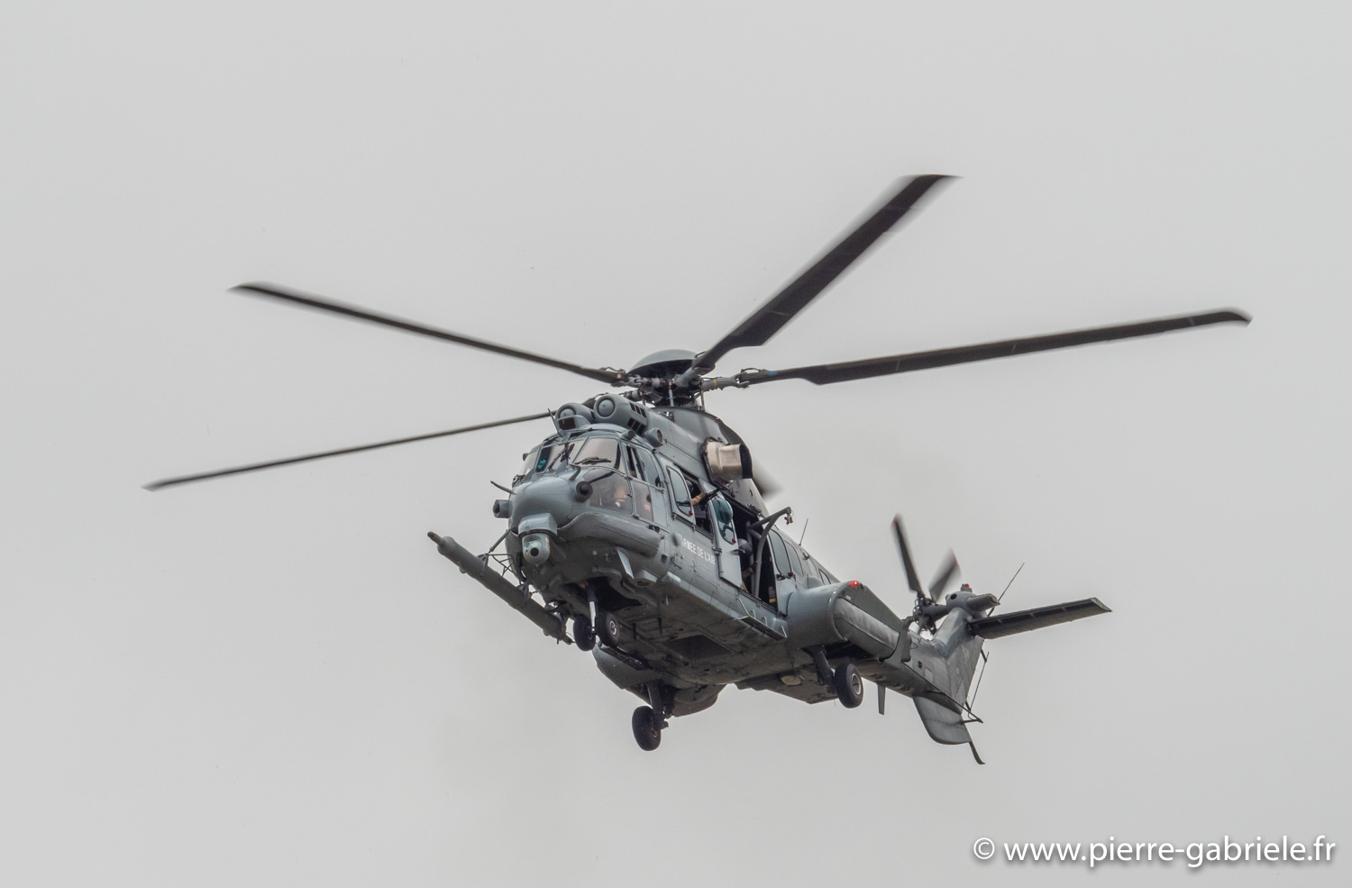 caracal-g91_6299.jpg