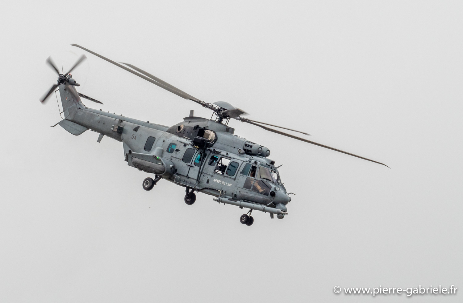caracal-g91_6301.jpg