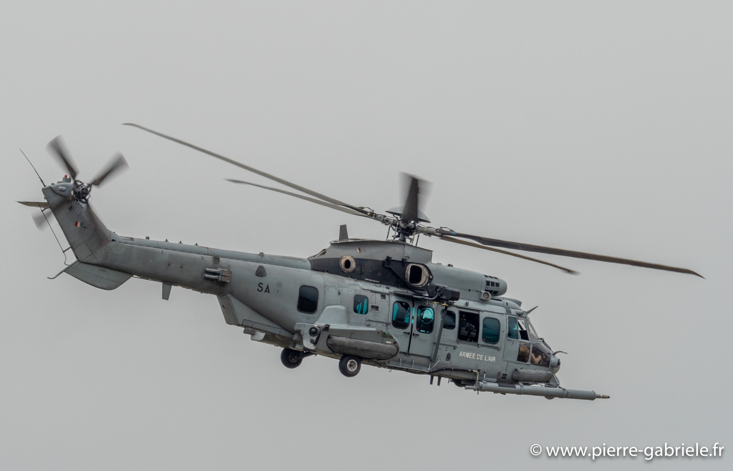 caracal-g91_6303.jpg