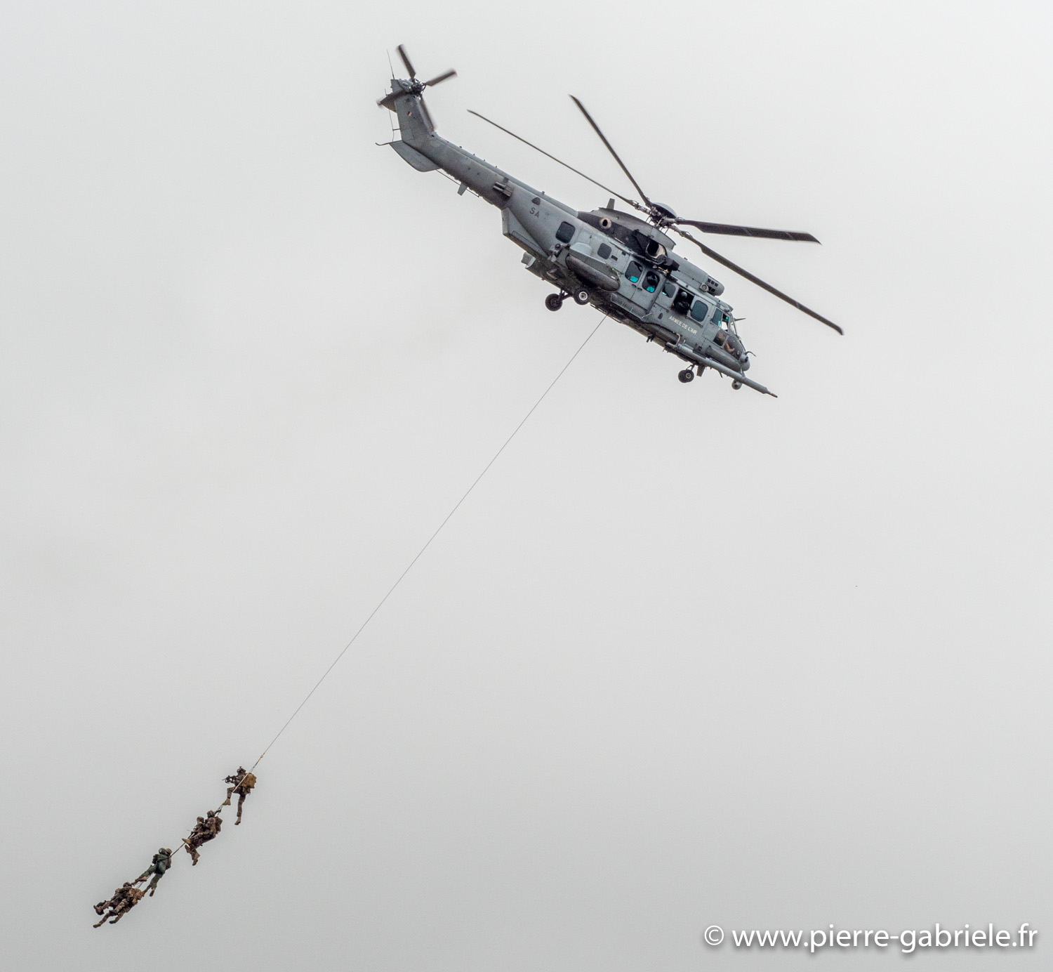 caracal-g91_6314.jpg