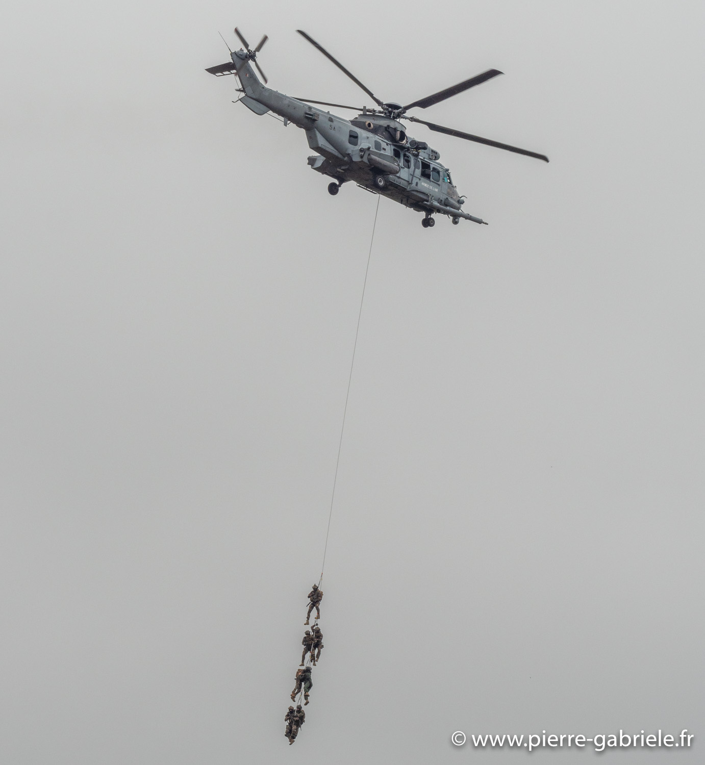 caracal-g91_6316.jpg