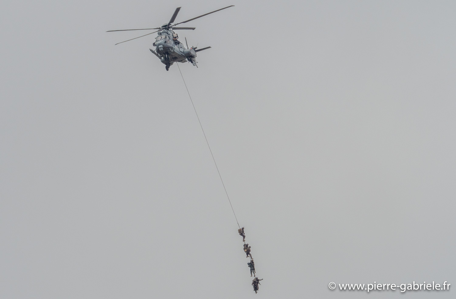 caracal-g91_6318.jpg