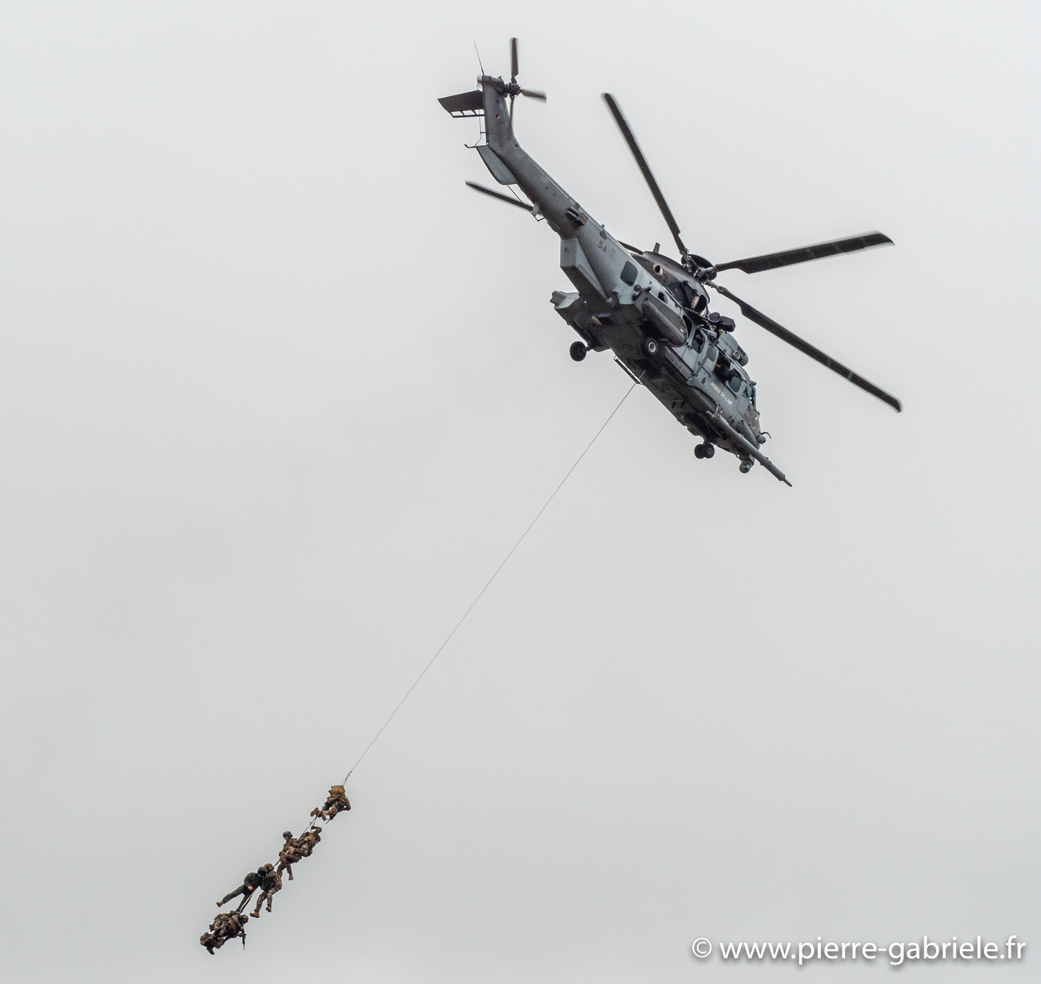 caracal-g91_6345.jpg