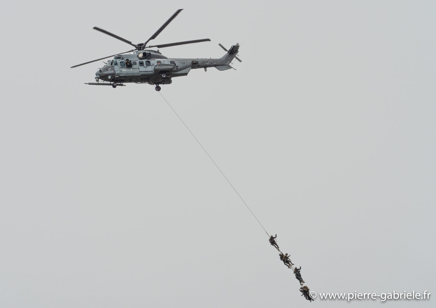 caracal-g91_6350.jpg