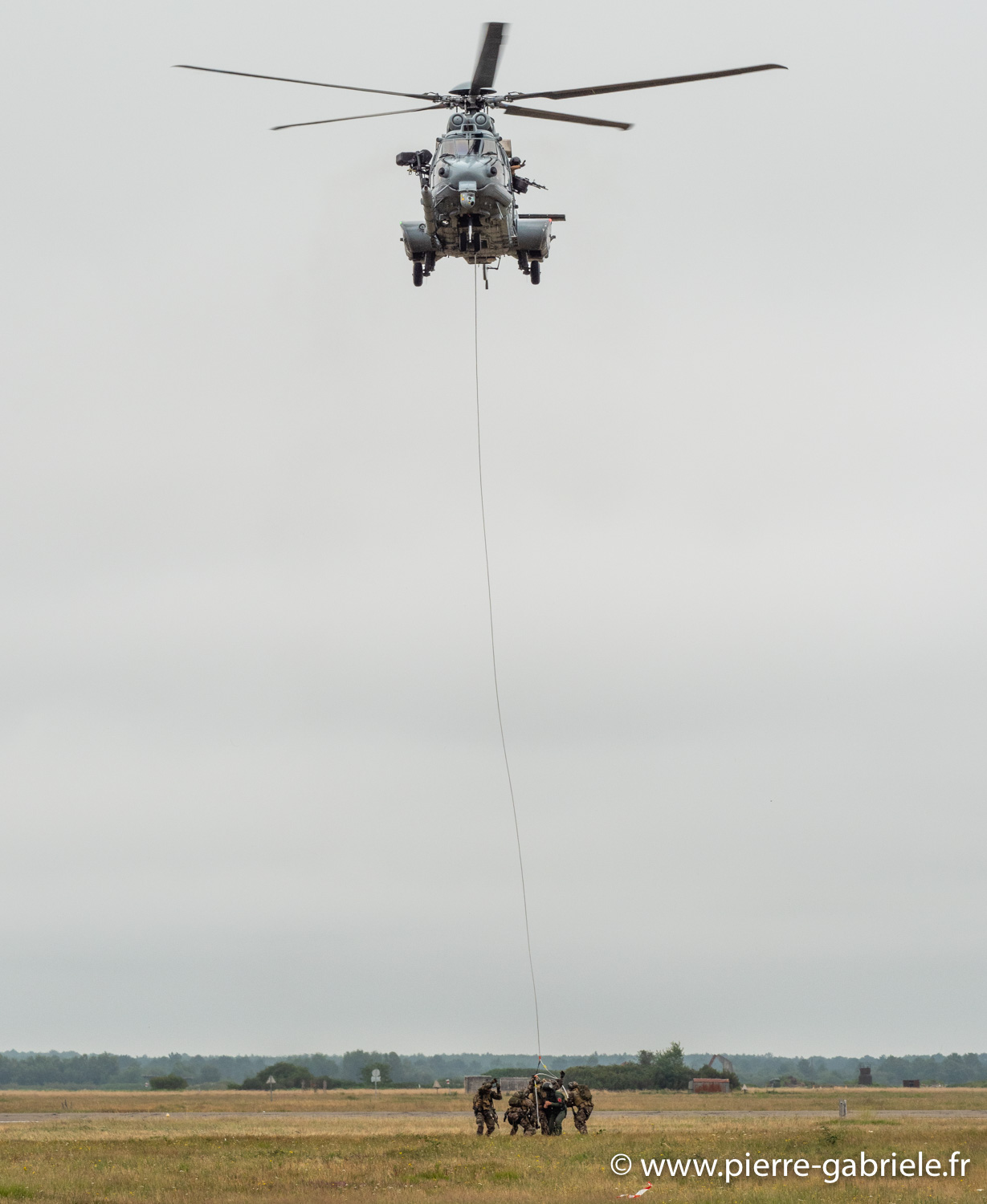 caracal-g91_6355.jpg