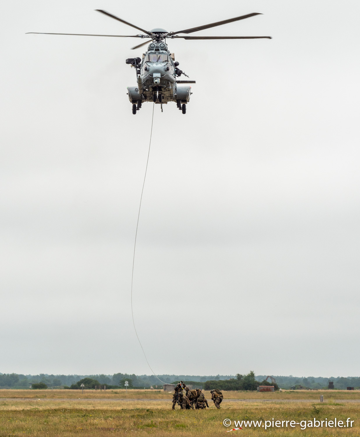 caracal-g91_6356.jpg