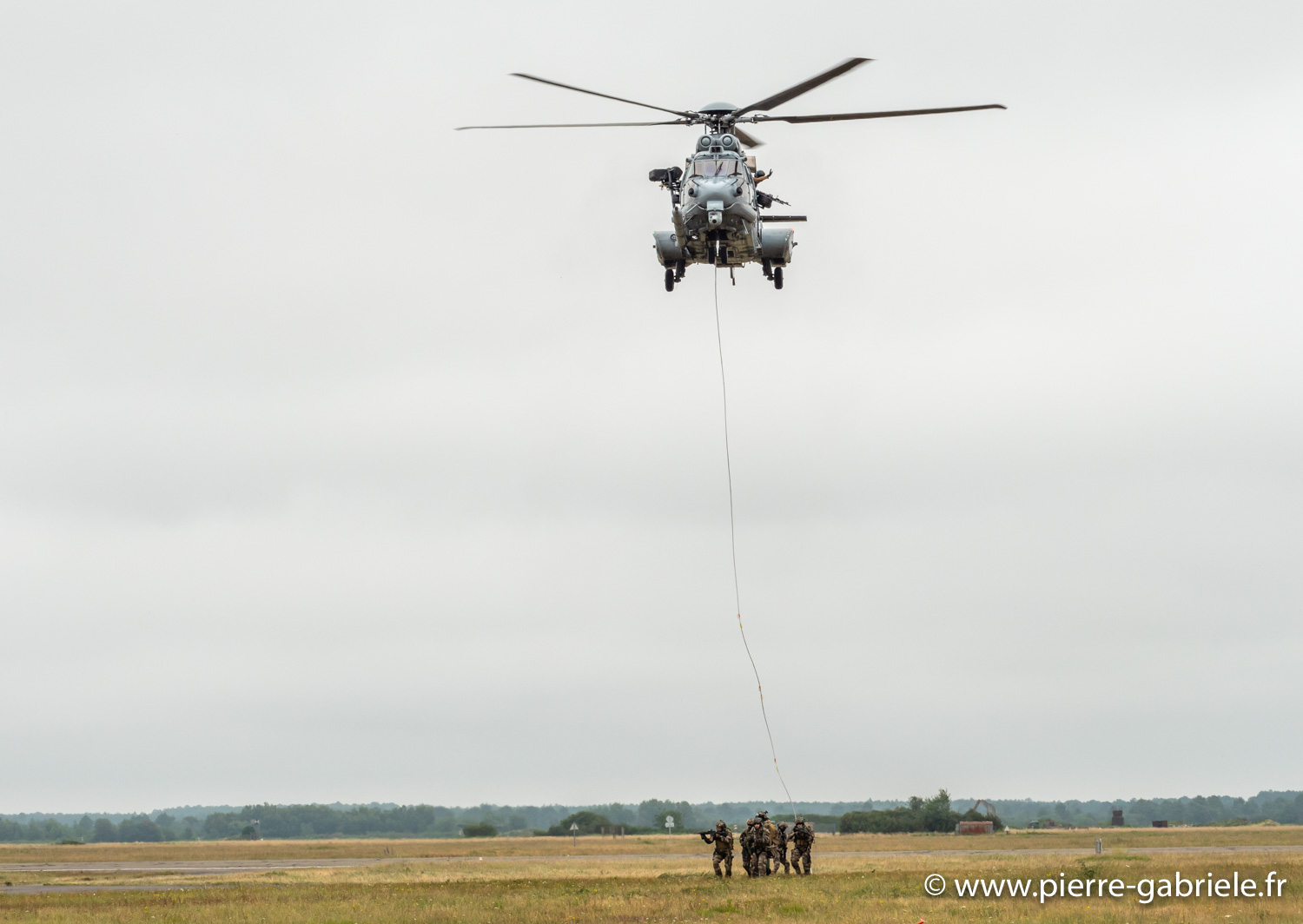 caracal-g91_6357.jpg