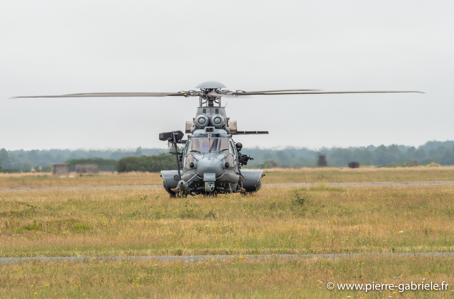 caracal-g91_6364.jpg