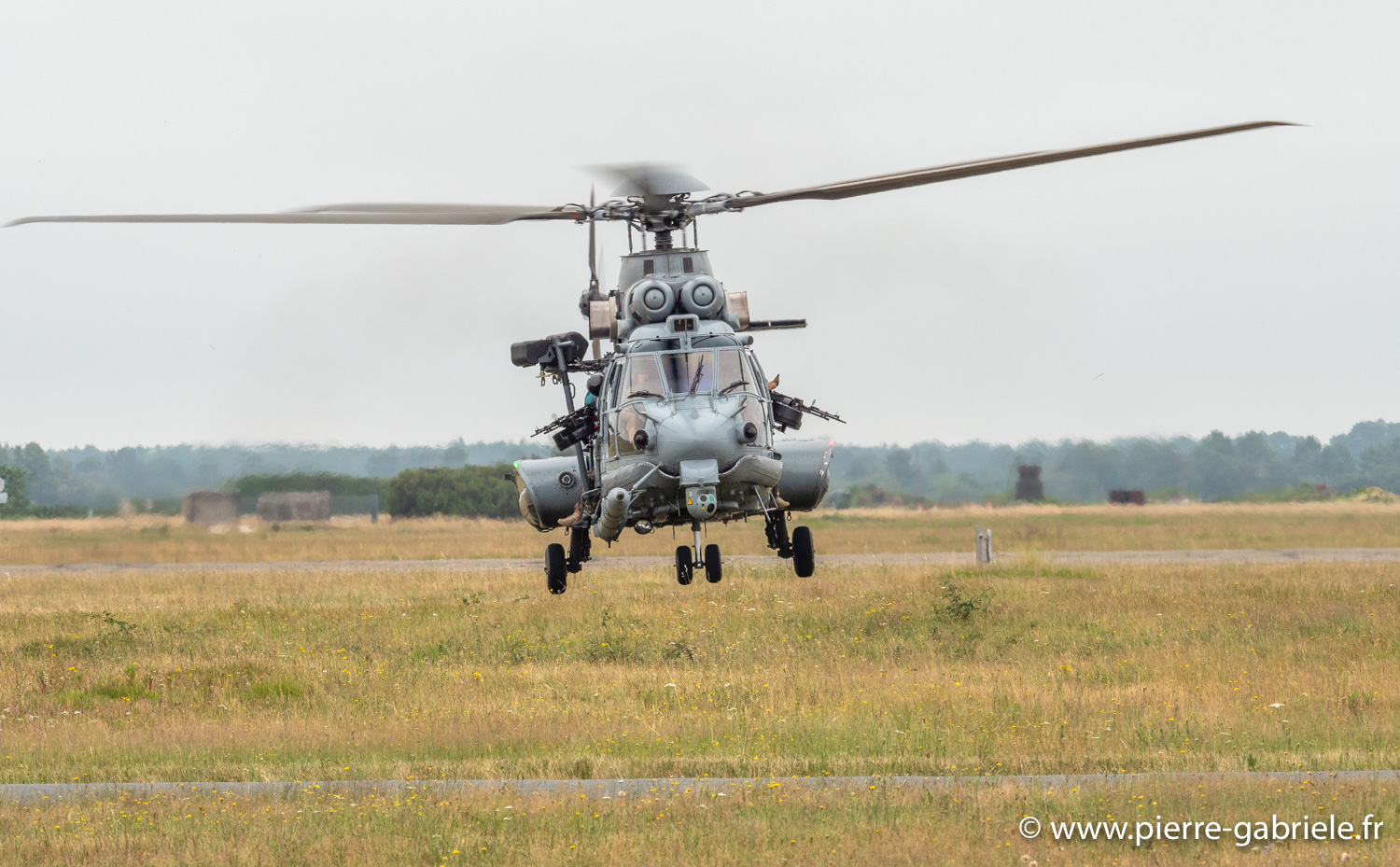 caracal-g91_6365.jpg