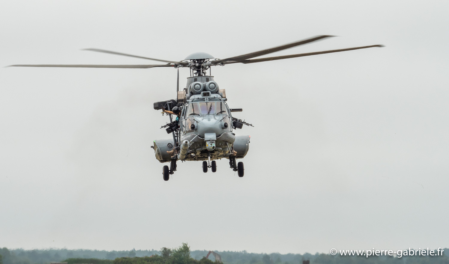 caracal-g91_6366.jpg