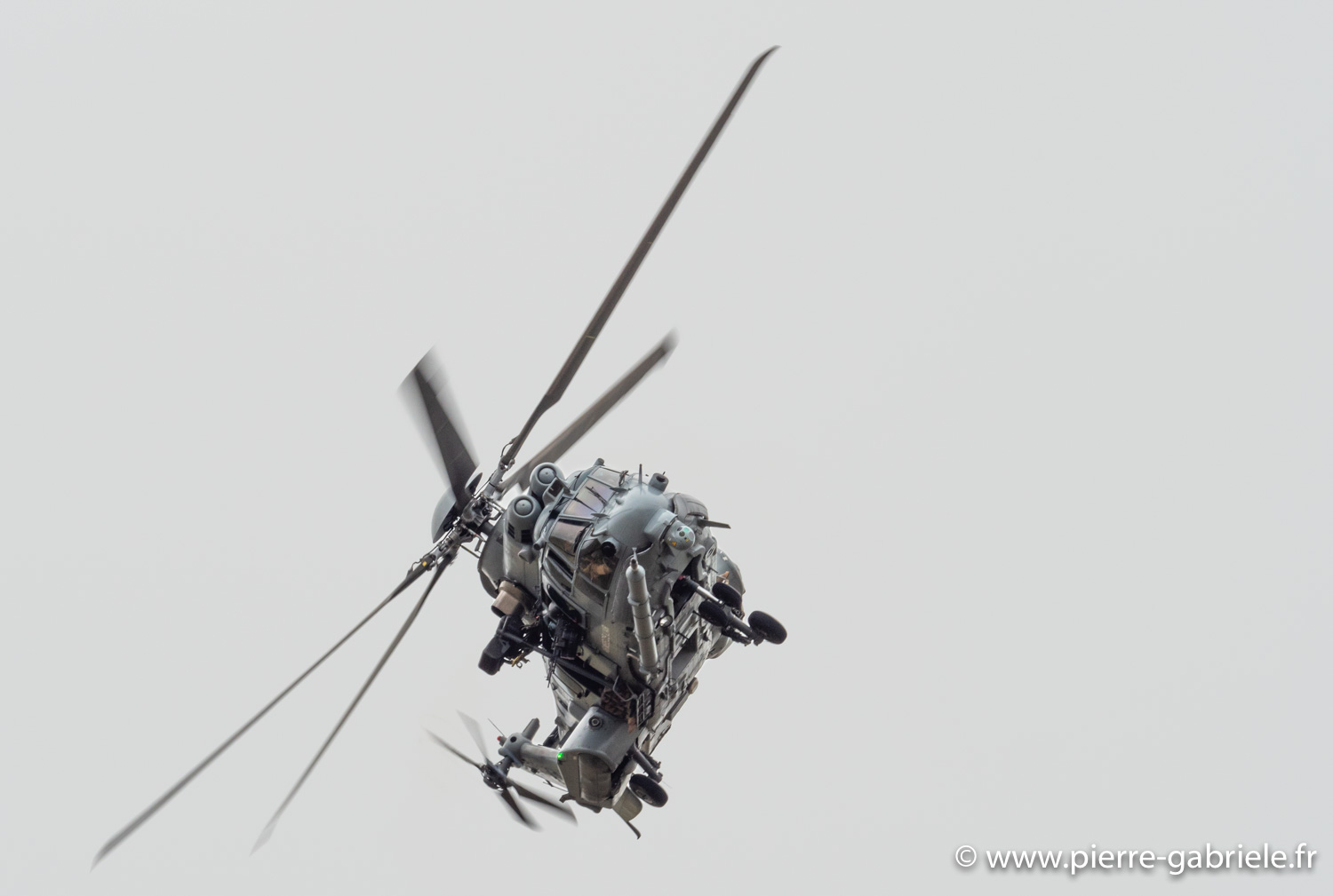 caracal-g91_6368.jpg