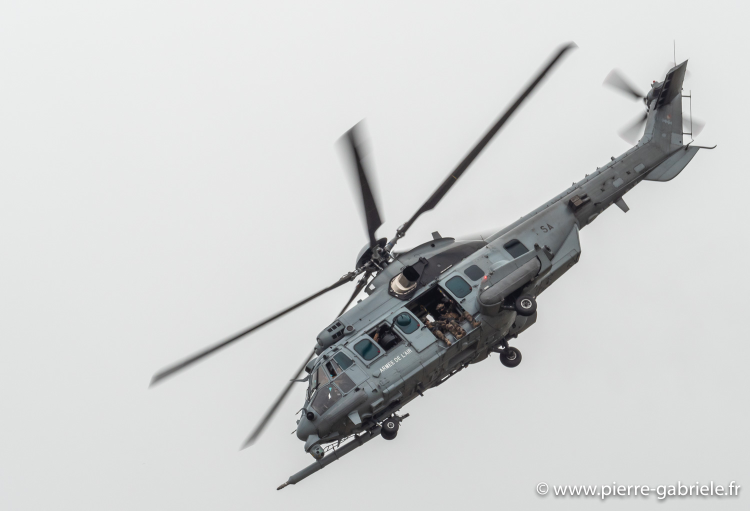 caracal-g91_6369.jpg