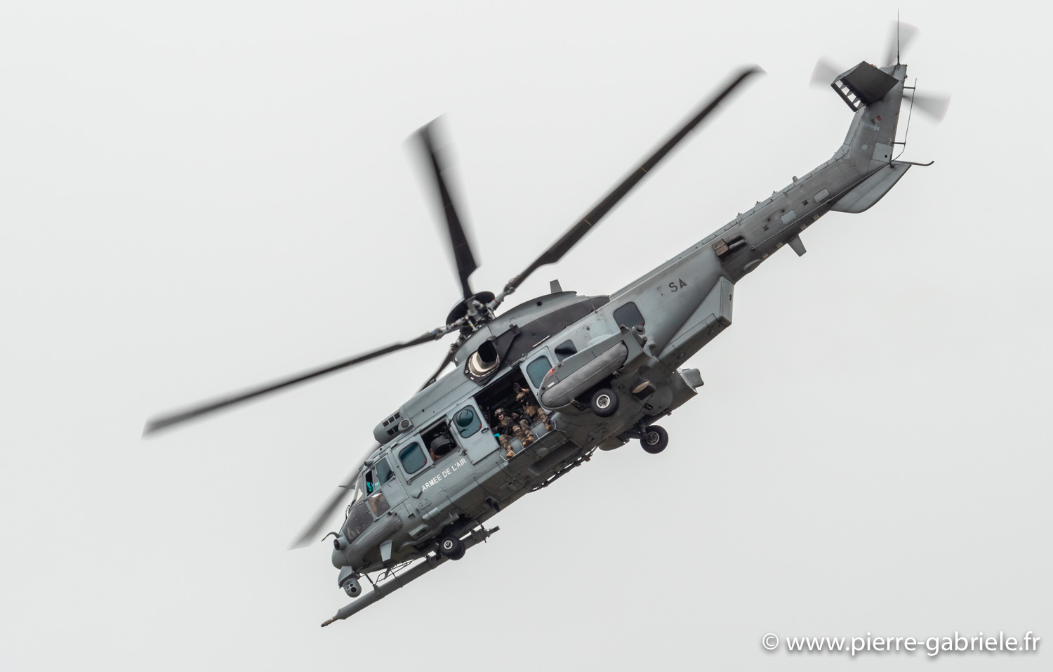 caracal-g91_6370.jpg