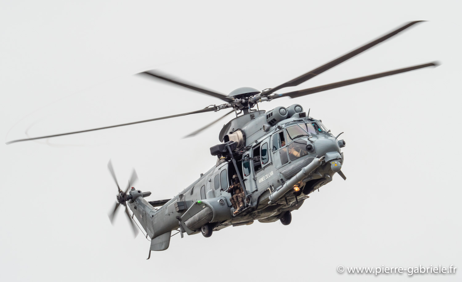 caracal-g91_6375.jpg