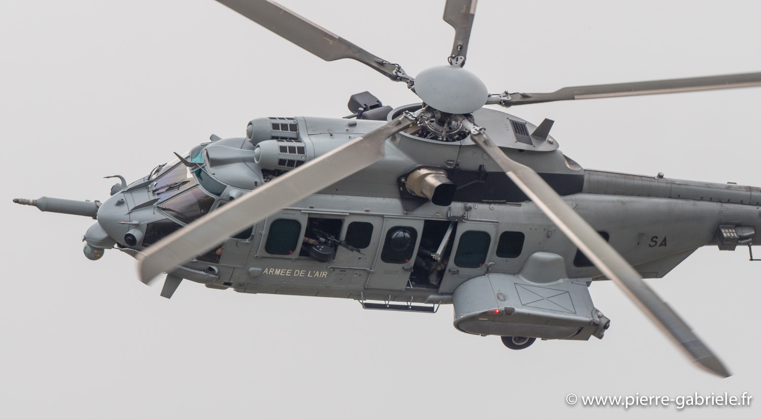 caracal-g93_1599.jpg