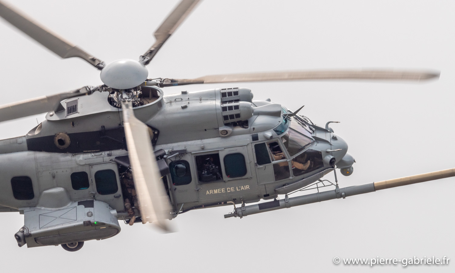 caracal-g93_1622.jpg