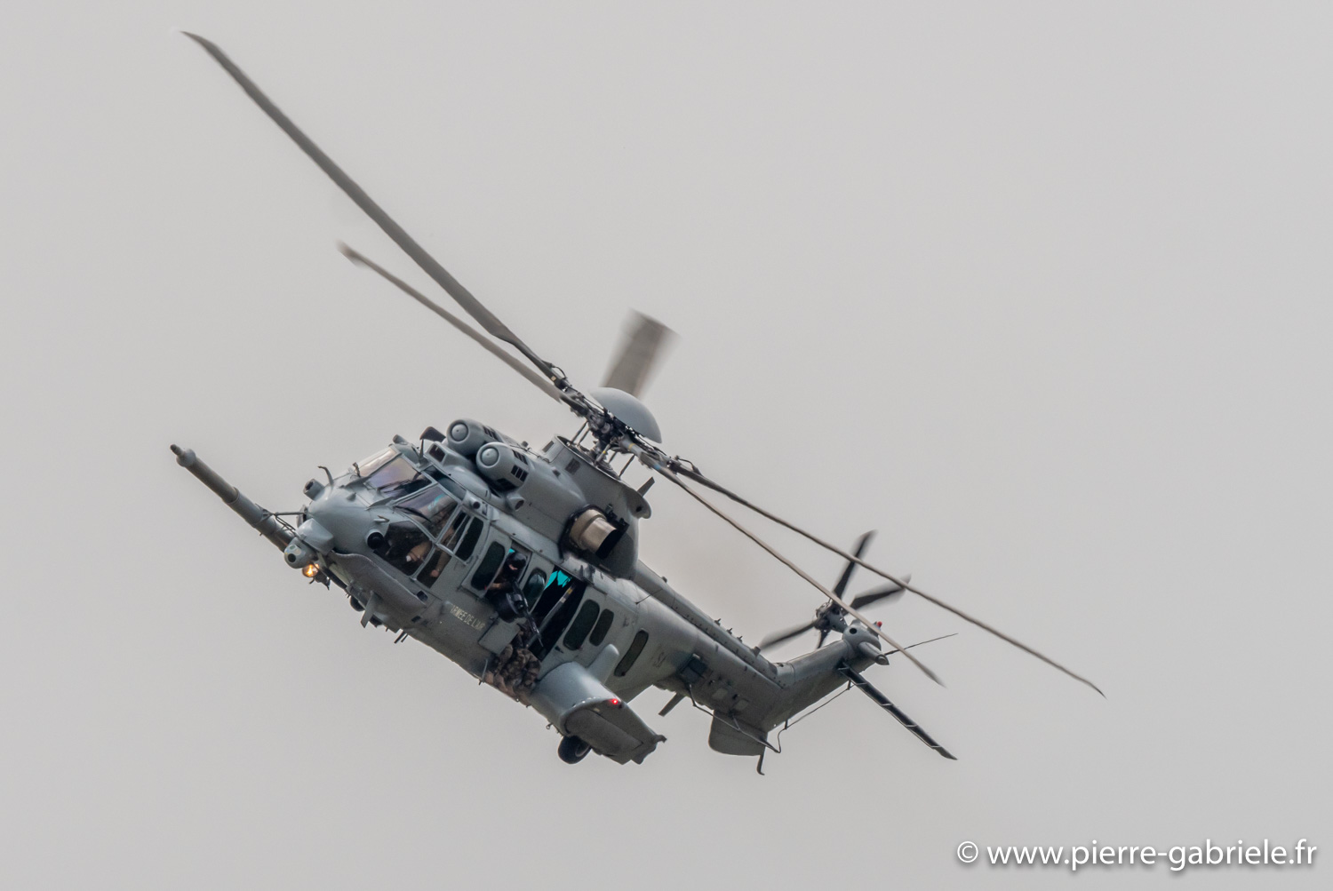 caracal-g93_1626.jpg