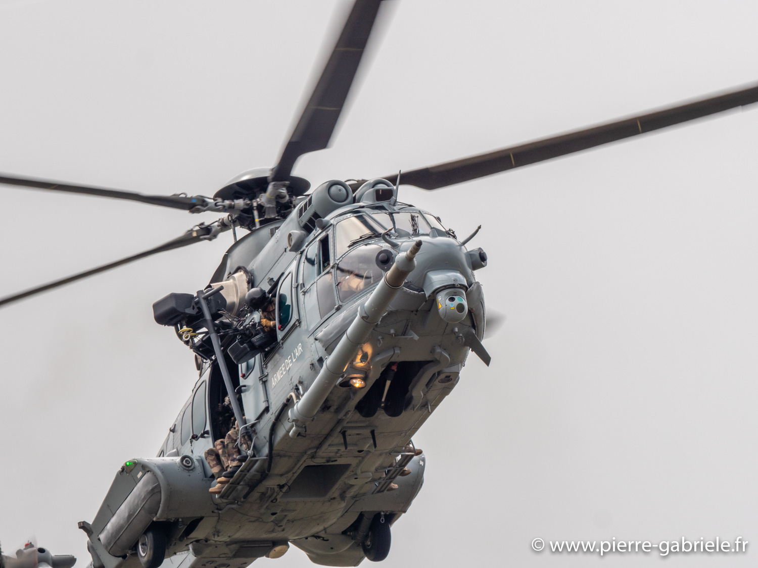 caracal-g93_1628.jpg