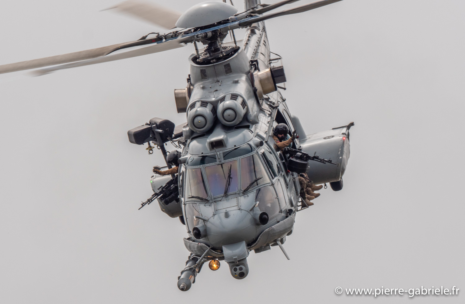 caracal-g93_1630.jpg