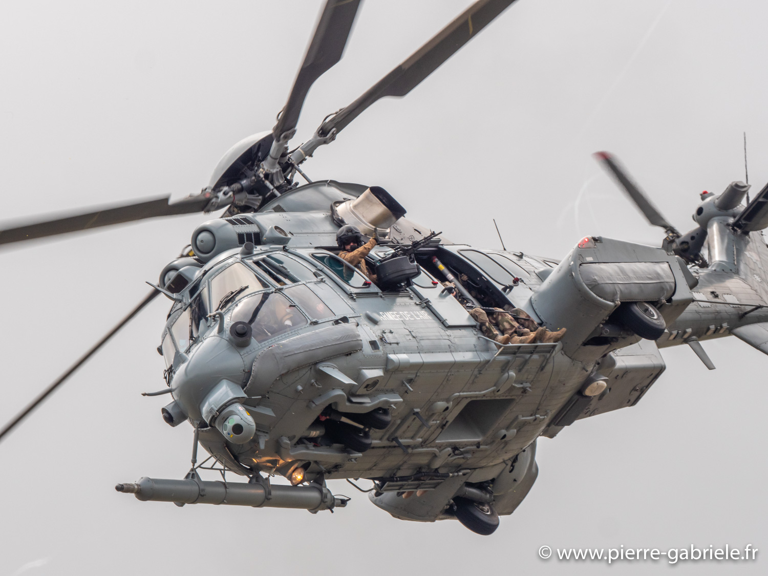 caracal-g93_1631.jpg