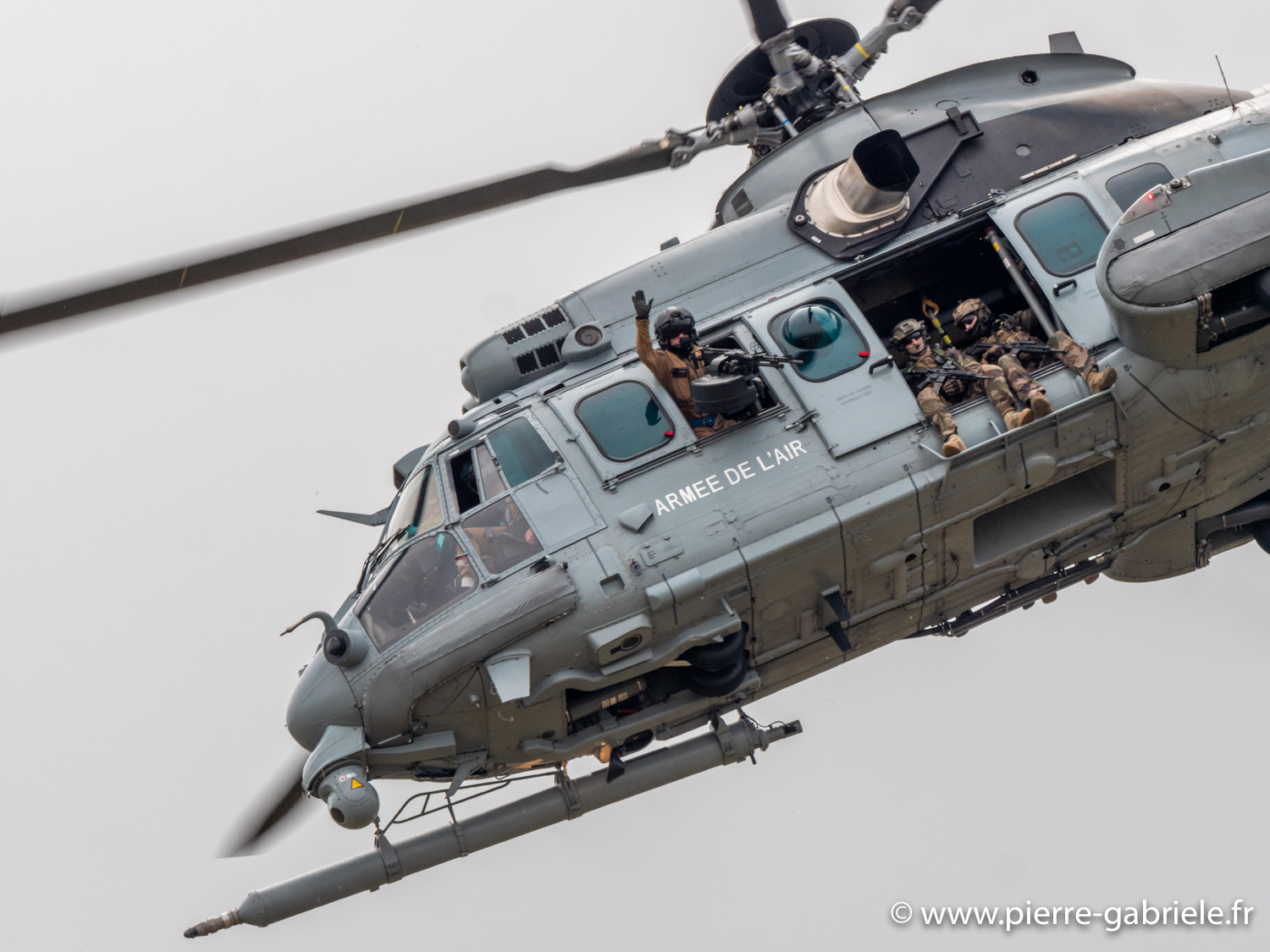 caracal-g93_1632.jpg