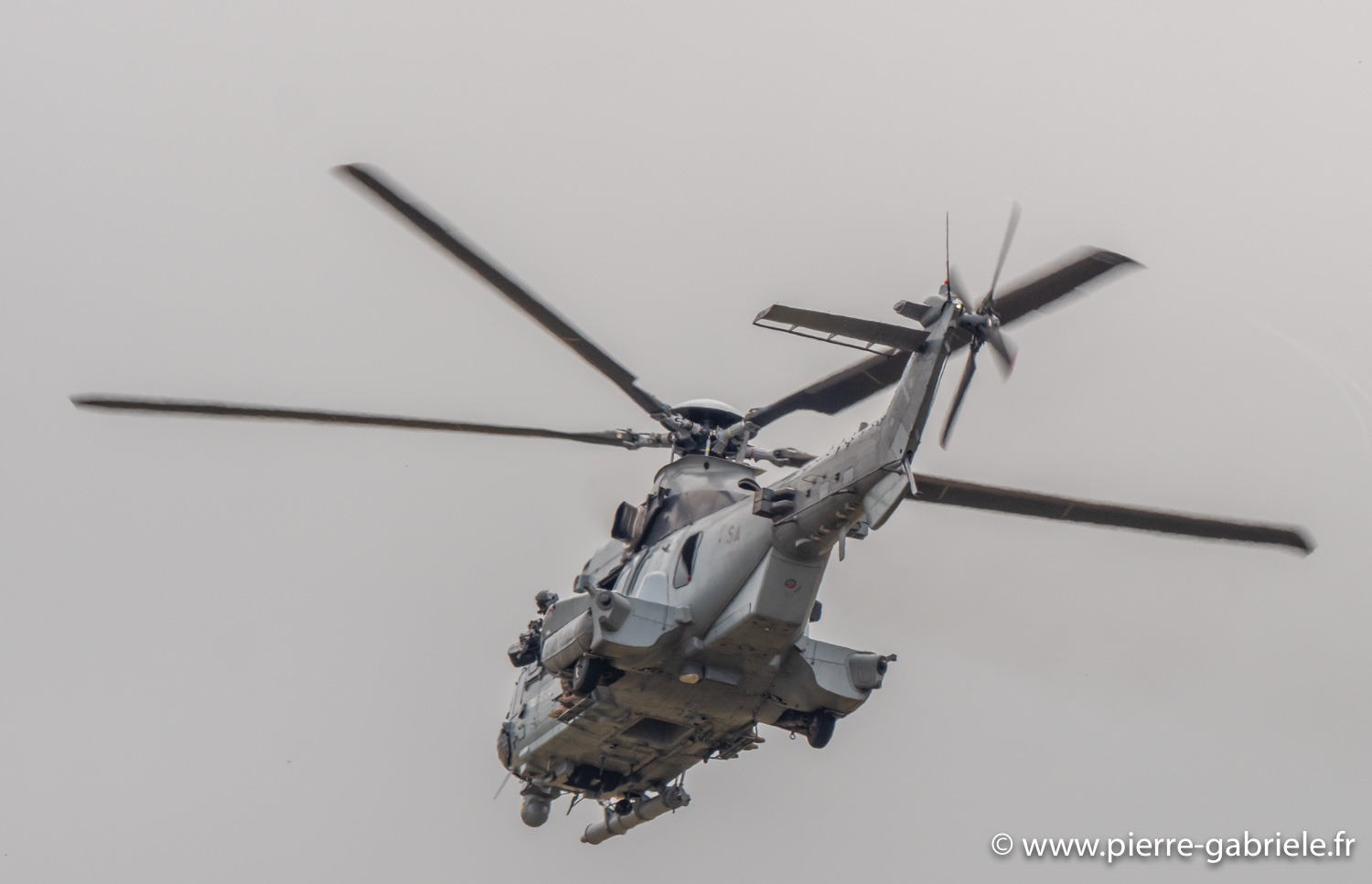 caracal-g93_1634.jpg