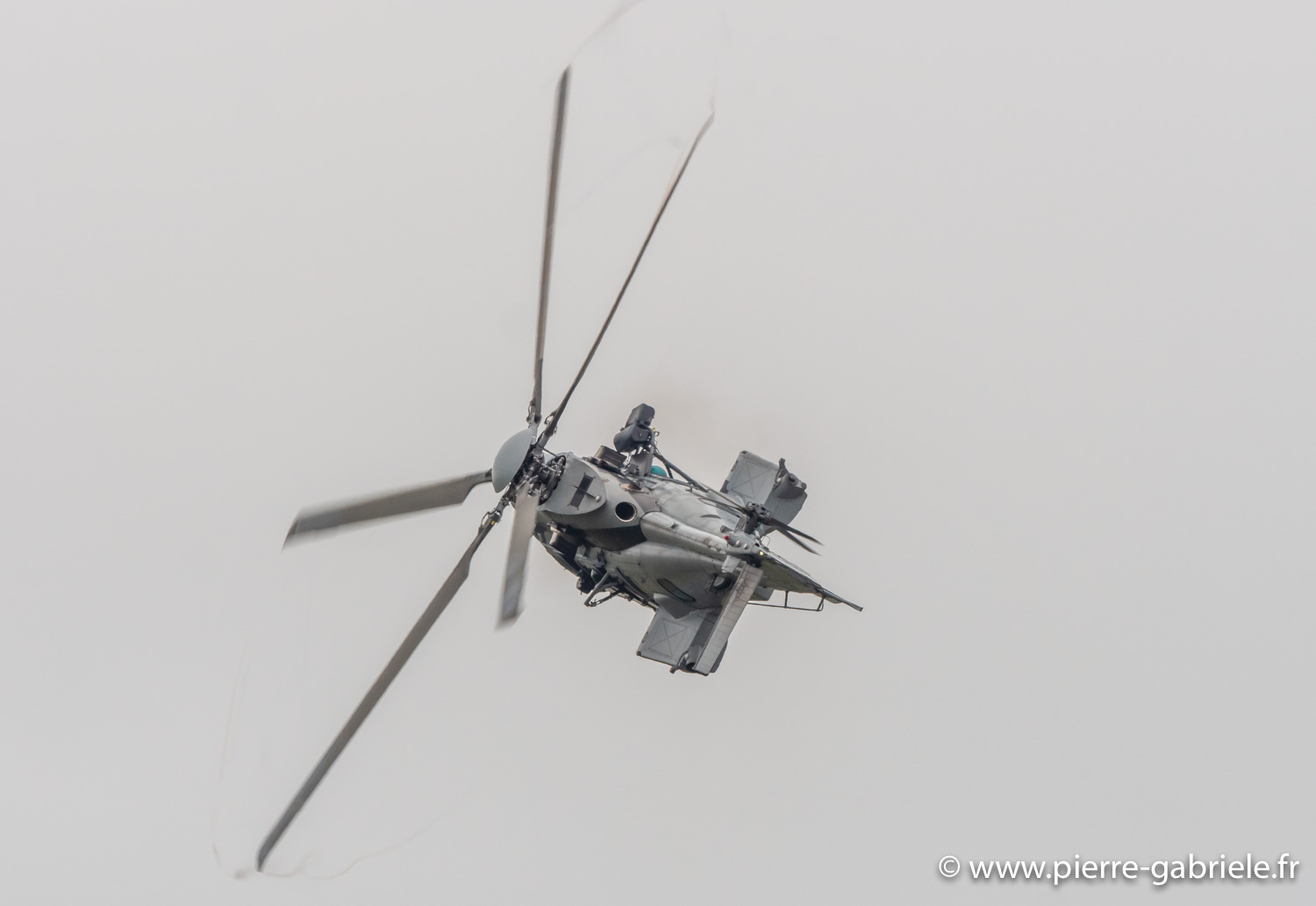 caracal-g93_1791.jpg