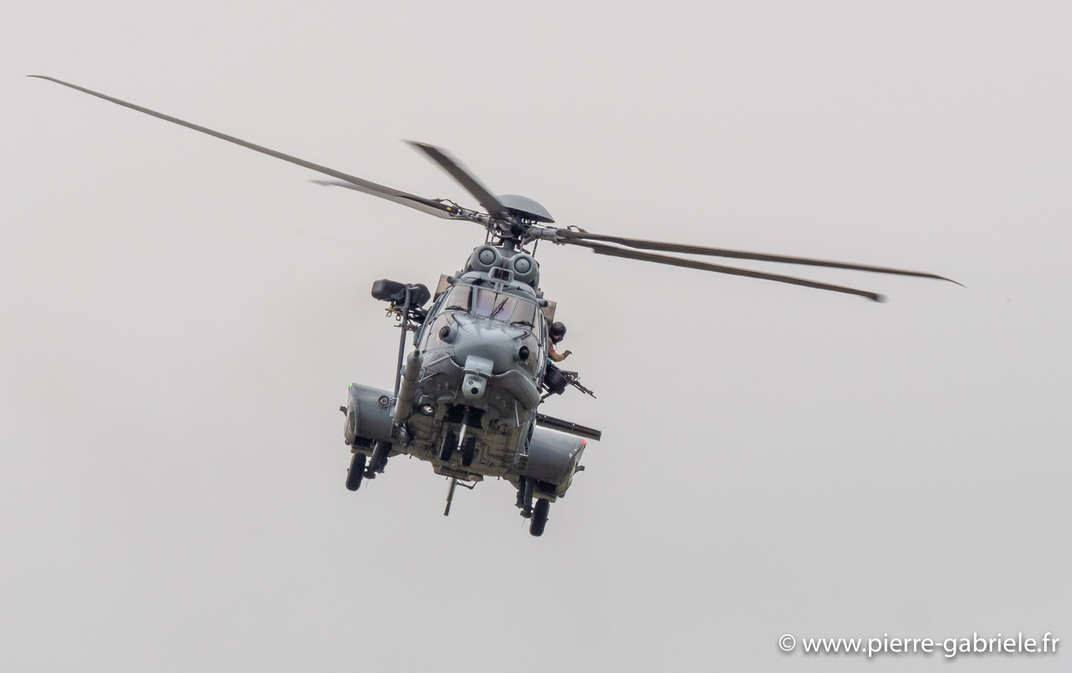 caracal-g93_1793.jpg