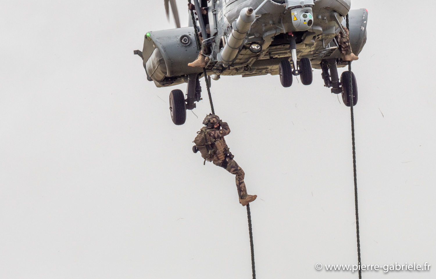 caracal-g93_1796.jpg