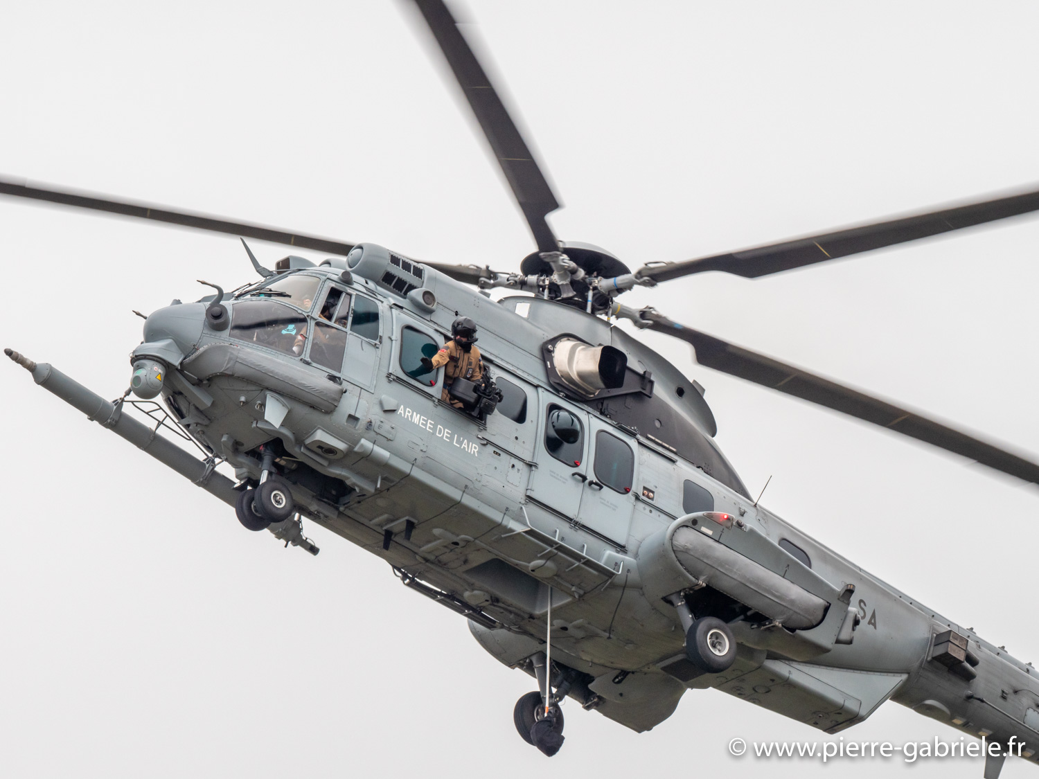 caracal-g93_1810.jpg