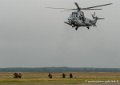 caracal-g91_6298