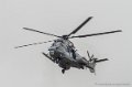 caracal-g91_6299