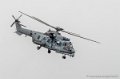 caracal-g91_6301