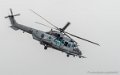 caracal-g91_6302
