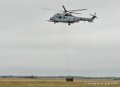 caracal-g91_6341