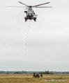 caracal-g91_6356