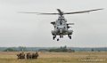 caracal-g91_6359