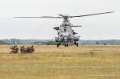 caracal-g91_6360