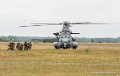 caracal-g91_6361