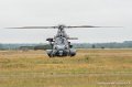 caracal-g91_6364